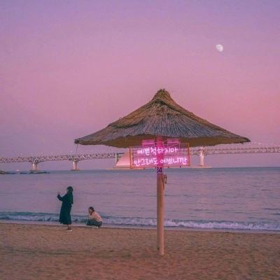 足球赌注软件app下载