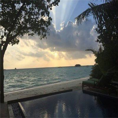 kok全站app官网登录入口