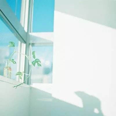 足球赌注软件app下载